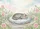 duiyfppz/products/6a3e286564d52fbbaa922dc3/gallery/Om3G6z_uMu