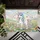 duiyfppz/products/6a3e298623442048308d1e02/gallery/3pU6wlHIxe