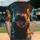 duiyfppz/products/6a3e2b4d632b6943f9448244/gallery/DTqmaO1qaG