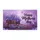 duiyfppz/products/6a3e322fb00ece18f490a8de/gallery/eicbHN9Fxa