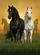 duiyfppz/products/6a3e328cbe0acd6187c4dadb/gallery/H9KwYYzTmk