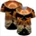 duiyfppz/products/6a3e386a9ff14d5a800eafc2/gallery/yKJ9JYPs3h