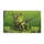 duiyfppz/products/6a3e38a2ea9ec6116464e00e/gallery/66m4To4aJH