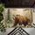duiyfppz/products/6a3e3a3e2436200d901b577e/gallery/CKWw8fjb8Q