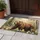 duiyfppz/products/6a3e3a3e2436200d901b577e/gallery/dWTNY5xpOR