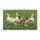 duiyfppz/products/6a3e3bbffe0d2cbeeb0b9583/gallery/w1x2Vp3Brz