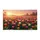 duiyfppz/products/6a3e3d56deb345855d535e38/gallery/I0qOJBrRKC