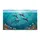 duiyfppz/products/6a3e3efffe0d2c9d030b9aca/gallery/qmrsfh3IEE