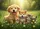 duiyfppz/products/6a3e41f6b00ece82fe90c45c/gallery/TRW8OC2QW-