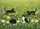 duiyfppz/products/6a3e4670be0acdf43ec4fe7a/gallery/s_YnDLkVPM