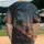 duiyfppz/products/6a3e499a180b54216188984a/gallery/5UimOvkms-