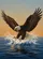 duiyfppz/products/6a3e562923442075928d7245/gallery/41kFaNqdkg