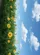duiyfppz/products/6a3e5f2b1981961ecb0e353f/gallery/uY-Hd9yuQU