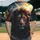 duiyfppz/products/6a3e63191ddb65fff825d5c0/gallery/GVZTWCHCo1