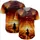 duiyfppz/products/6a3e635bf71d3f7d594a0661/gallery/lmQBwxJsHi