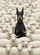 duiyfppz/products/6a3e640f1ddb65502d25d6ac/gallery/9BH7KQw7vX