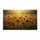 duiyfppz/products/6a3e65217834ad2556643eb6/gallery/8rxz2bvnSC