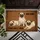 duiyfppz/products/6a3e65361ddb65479f25d864/gallery/0UYOOFT7M9