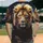 duiyfppz/products/6a3e6593bd1588d0b7861942/gallery/RrAjuWjyXk