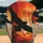 duiyfppz/products/6a3e69e8579e663064b1486a/gallery/XH4HTZ416p
