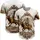 duiyfppz/products/6a3e91798adf55f9987f1d96/gallery/UpiSf1yMjM