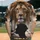 Lion Cross Jesus Crowned Head - Spiritual Devotion Gift for Believers Baseball Jersey - 2