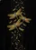 Three Golden Dragonflies Azure Gemstones Flying - Wildlife Lover Everyday Gift Baseball Jersey - 6