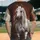 Majestic White Horse - Wildlife Lover Gift for Horse Enthusiast Baseball Jersey - 2