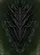 Skeletal Focal Point Monstrous Reptilian Visage - Dark Fantasy Lover Gift Baseball Jersey - 6
