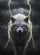Aggressive White Wolf Snarling Glowing Eyes Lightning Storm - Wildlife Lover Gift Baseball Jersey - 6