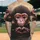 Baby Monkey Sitting Tiny Hands Heart Shape - Wildlife Lover Everyday Gift Baseball Jersey - 2