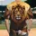 Seated Lion Lamb Dove Rugged Rock Formations Sunset - Wildlife Lover Gift Baseball Jersey - 2