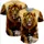 Seated Lion Lamb Dove Rugged Rock Formations Sunset - Wildlife Lover Gift Baseball Jersey - 5