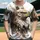Majestic Eagle Head Profile Golden Eyes Ornate Blue Teal Feathers - Wildlife Lover Gift Baseball Jersey - 1