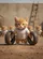 Fluffy Orange Tabby Kitten Tire Lift - Workout Lover Gift for Fitness Enthusiasts Baseball Jersey - 6