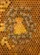 Honey Bees Honeycomb Cells - A Wildlife Lover Gift for Gardeners and Bee Lovers Baseball Jersey - 6