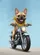 French Bulldog Bandana Vintage Cruiser Motorcycle Ride - Dog Lover Gift for Dog Owners Baseball Jersey - 6