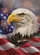 Bald Eagle Waving American Flag Fireworks - Independence Day Gift for Flag Lovers Baseball Jersey - 6