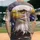 Bald Eagle Waving American Flag Fireworks - Independence Day Gift for Flag Lovers Baseball Jersey - 2