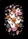 duiyfppz/products/6a3fe4033a989571e567b495/gallery/QiNyekB-MN
