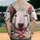 duiyfppz/products/6a3fef79f1db001ab41c4777/gallery/bhppDorsQH