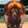 duiyfppz/products/6a3ff66ea516e338ea312b54/gallery/jPw3yOmY-J