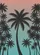 duiyfppz/products/6a3ff94c7326f658d25ac79e/gallery/5HMGiG8vbz