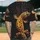 duiyfppz/products/6a3ffdd3f1db003e0e1c5104/gallery/rfWccL7jrz