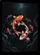 duiyfppz/products/6a40ead01ddb6588792879d3/gallery/aUPgI4qIoM
