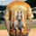 duiyfppz/products/6a40eb8f58df012b084c7968/gallery/-sDltLhzgm