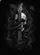 duiyfppz/products/6a40f2417326f67b825ba7a2/gallery/AIvqtQcMQ-