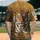 duiyfppz/products/6a40f8ea579e666a7cb497d3/gallery/dmObsFqqff