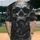 duiyfppz/products/6a4100190de6957cf68e5a60/gallery/WWfHA9-VPA