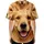 duiyfppz/products/6a410046579e6670bdb49d67/gallery/8j_zeLtzvt
